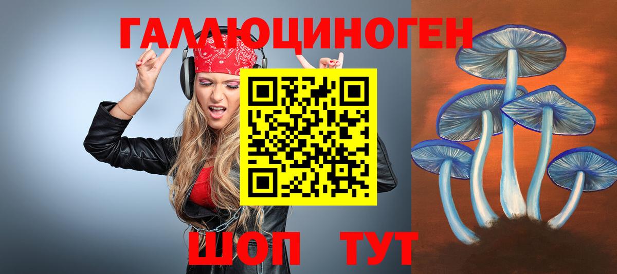 Псилоцибиновые грибы мухоморы Северобайкальск